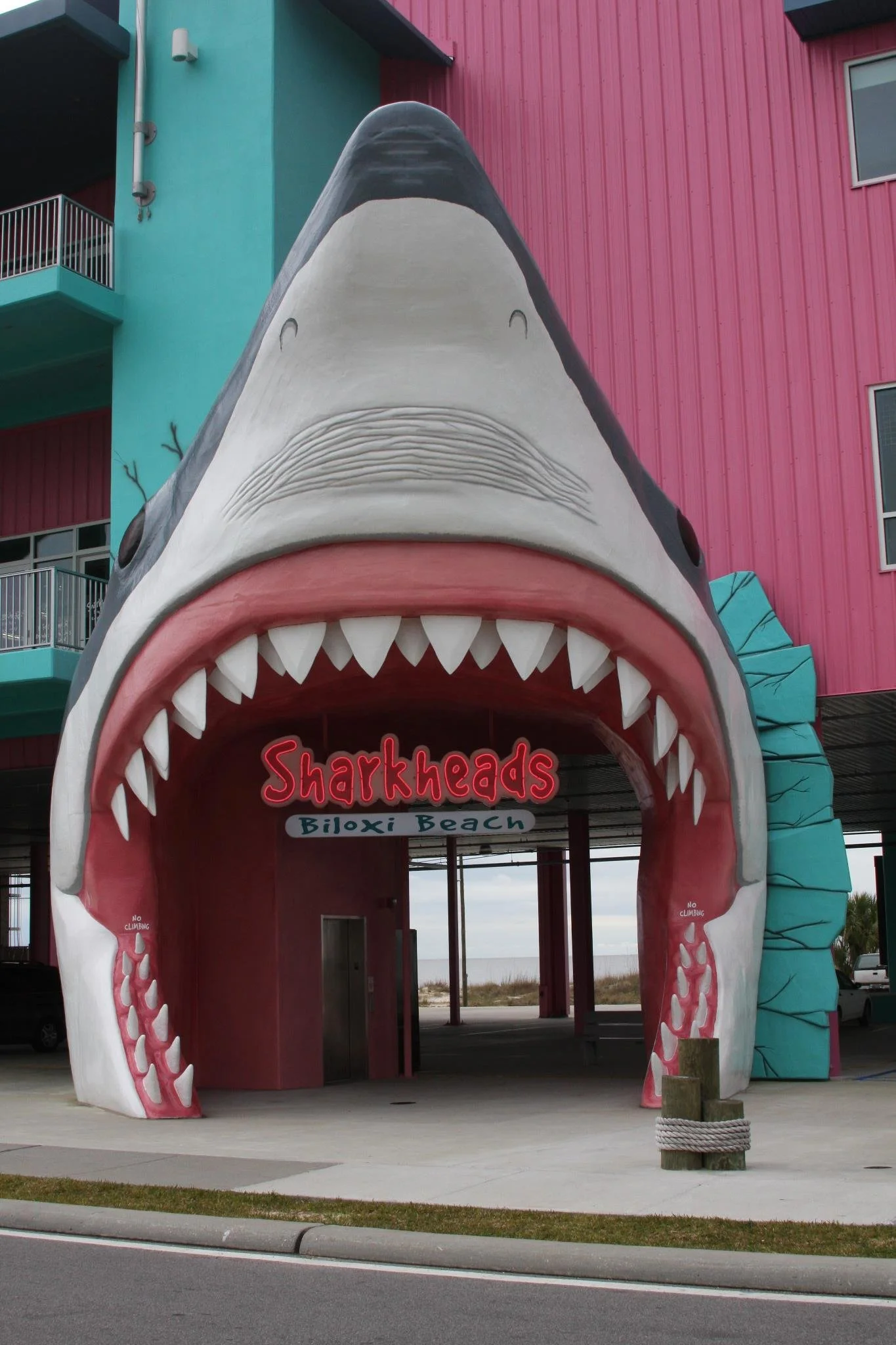 Sharkheads