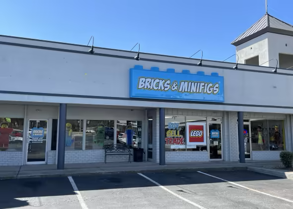 Bricks & Minifigs
