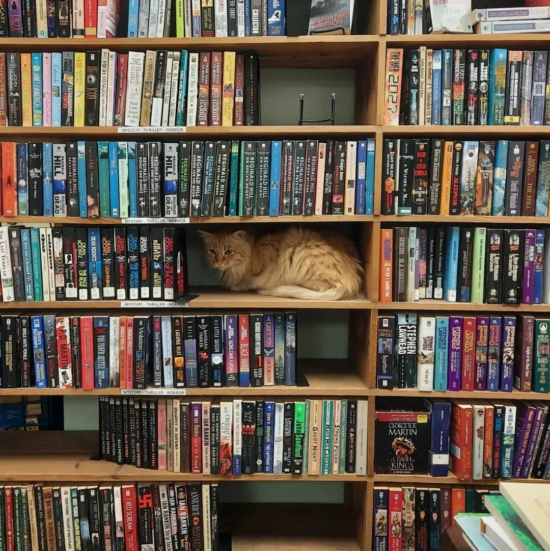 Quiet City Books